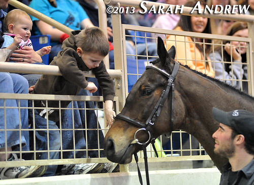 Suave Jazz and young fans at the PA Horse World Expo
