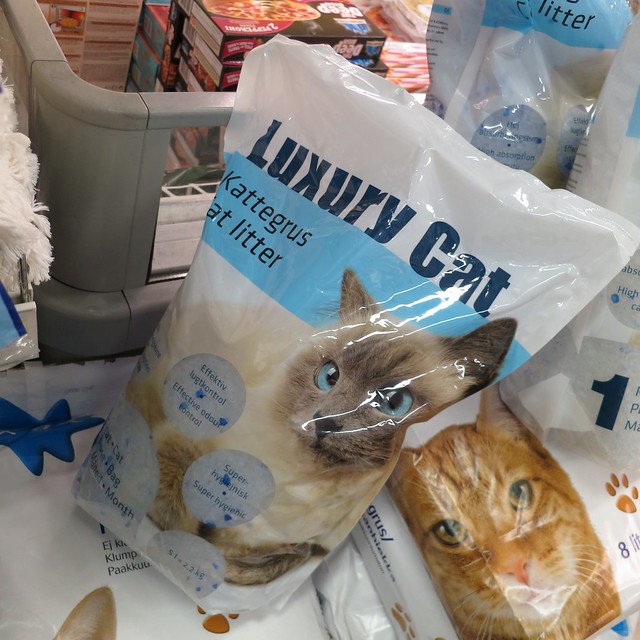 Luxury Cat cat litter, Iceland 2013