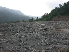 八八風災後的楠梓仙溪。（圖片來源：林務局）