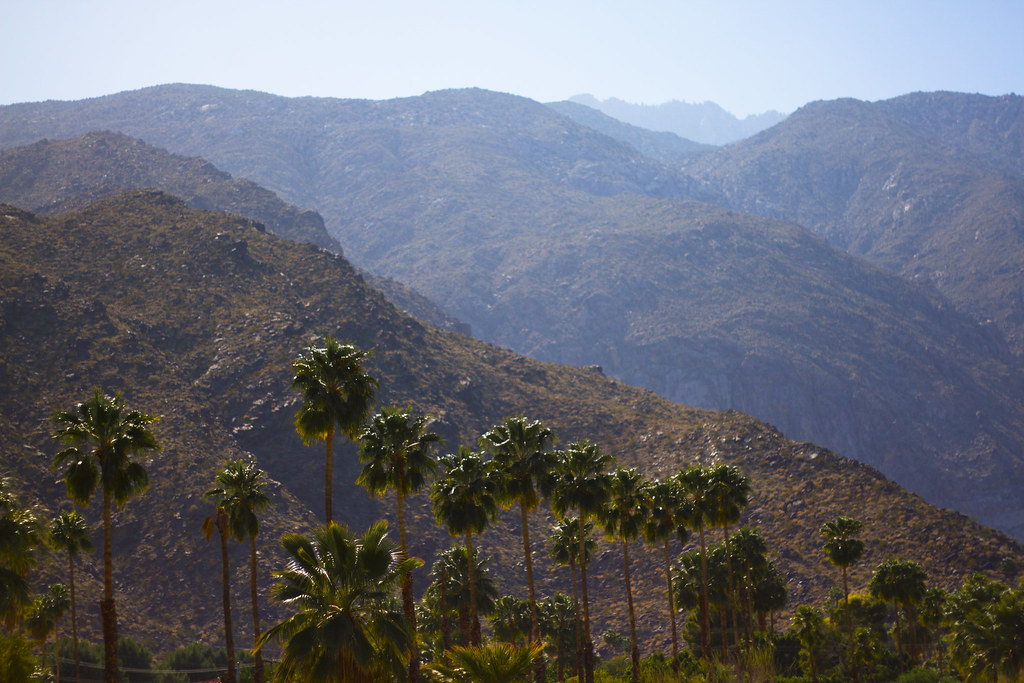 desert landscape of Palm Springs