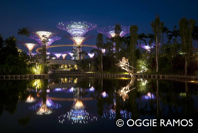 Singapore Gardens By the Bay Reflections