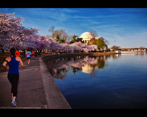 Let’s Run into Spring with the Cherry Blossoms! by Sam Antonio Photography