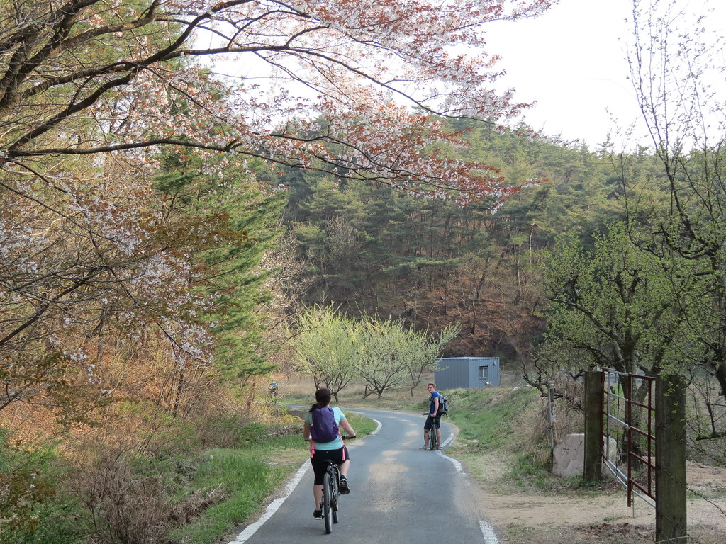 Gyeongju Bike Tour