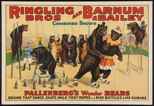 RinglingBarnum1920s_Bears