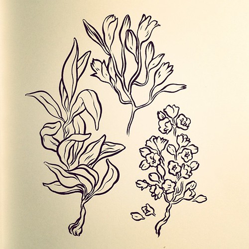 Ink #drawing of foliage. #art #sketch of the night.