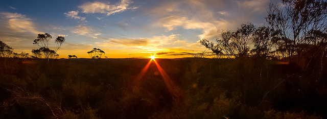 Newnes State Forest Sunset Panorama