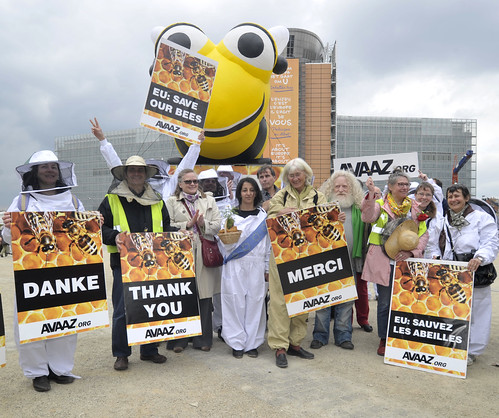 蜂農與環保團體在歐盟總部外表達謝意。(圖片提供：Avaaz.org)