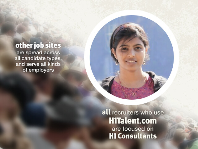 Infographic: ALL recruiters who use H1Talent.com are focused on H1 Consultants