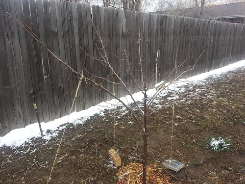 2013.04_pruning and training