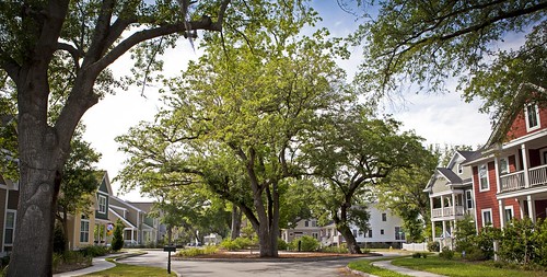 Oak Terrace Preserve, N. Charleston, SC (by: Chrys Rynearson, creative commons)