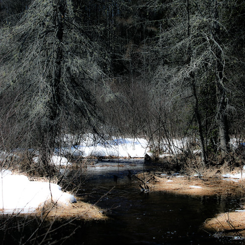 Fonte des neiges... sourire du ruisseau... je rêve de printemps...!!! by Denis Collette...!!!