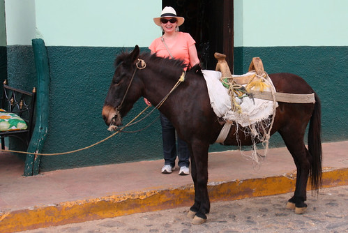 Danna with the horse