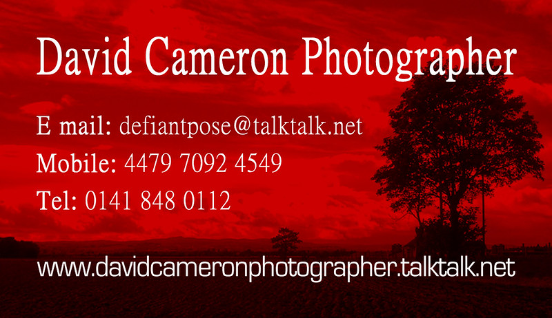david cameron photographer buisness card