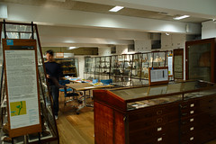 Petrie Museum