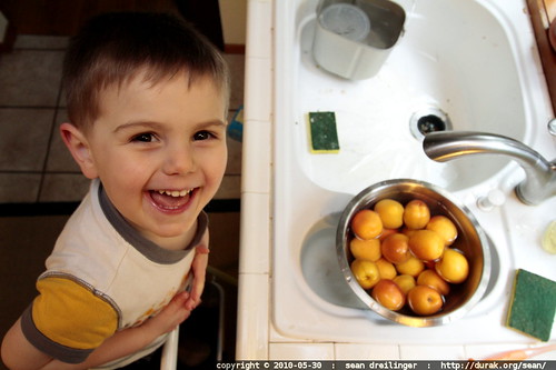 A young boy smiles over a bowl of freshly washed apricots.  Select apricots that are plump with golden orange color, but avoid ones that are pale yellow, greenish-yellow, shriveled or bruised.