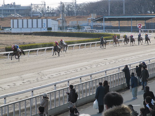 Kasamatsu Racecourse 笠松競馬場
