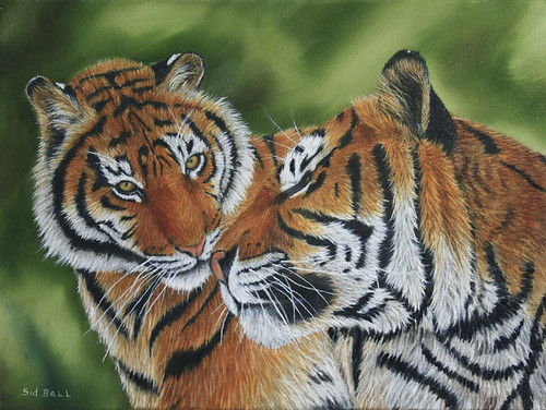 Mother Tiger and Cub by Sid's art
