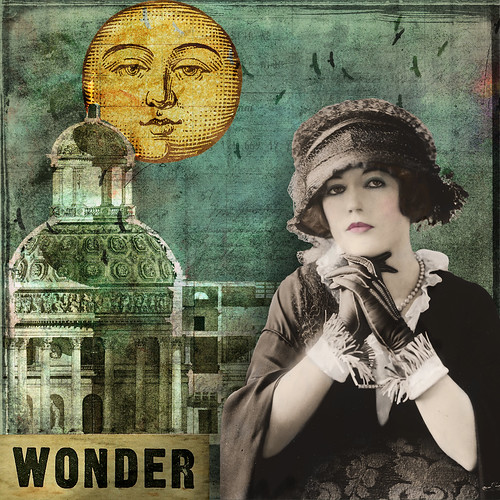 Wonder by Lynne Larkin