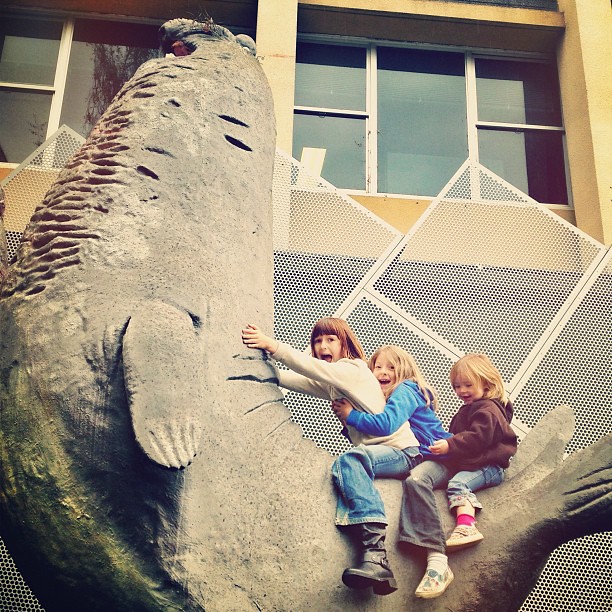 My children are riding a Southern Elephant Seal. Your argument is invalid. || #elephantseal #biggest