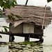 Bolgoda Lake - Sri Lanka