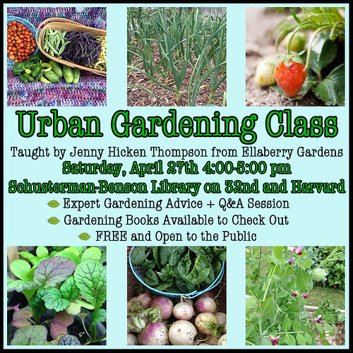 Urban Gardening Class