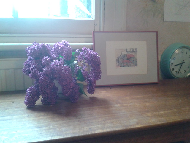 the pretty found lilacs on display