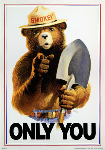 Smokey Bear’s lasting message – Only You Can Prevent Wildfires! – resonates with 97 percent of adults.