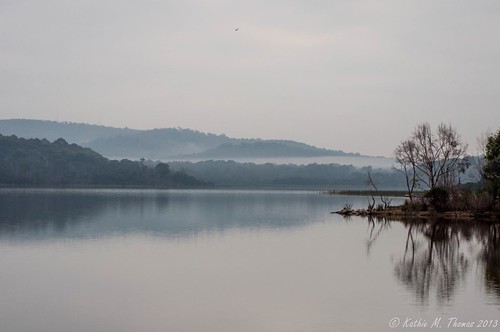 Misty morning at the lake
