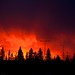 Molten Fire: Sunset in Edmonton