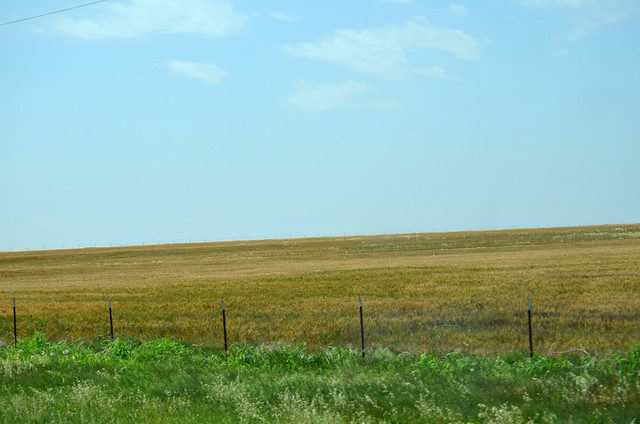 Wheat in Snyder area