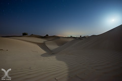 Desertscapes