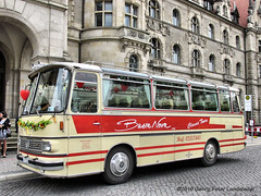 Busse / buses
