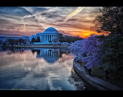Cherry Blossom Sunrise at the Jefferson Memorial by Sam Antonio Photography