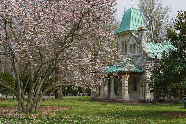 Tower Grove Park, in Saint Louis, Missouri, USA - trees in bloom