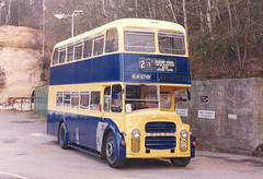 Cobham Bus Museum rallies.