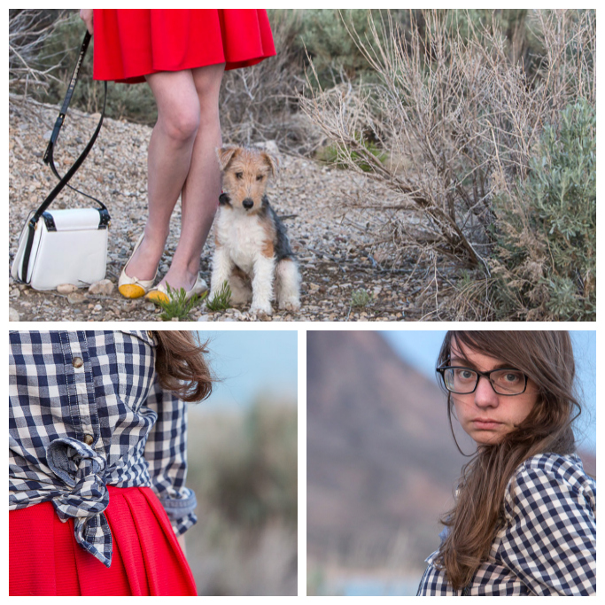 fox terrier, walking the dog, red dress, gingham top, blue top, never fully dressed, without a style, 