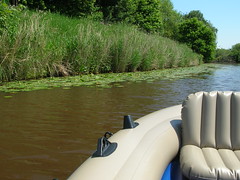 Buschfelder Sieltief mit dem Boot - juni 2013