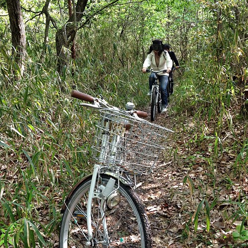ママチャリで林道サイクリング。