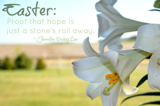 Easter lily, stone