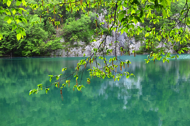 Jade Kaluderovac Lake, Plitvice Lakes National Park, Croatia