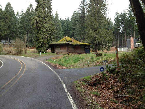 Abandoned log cabin on Mason Hill  Rd
