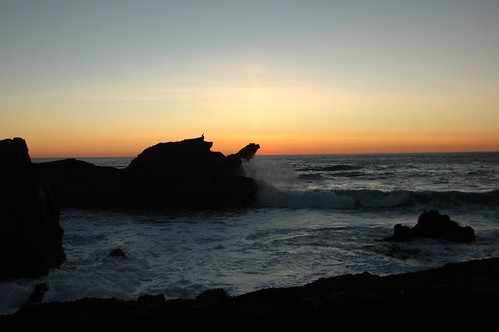 Eagle rock, sun on end, Maverick's, Princeton by the Sea, north of Half Moon Bay, California, USA by Wonderlane
