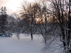 Snowmageddon, February 5-12, 2010