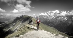 2017 Alps Calendars