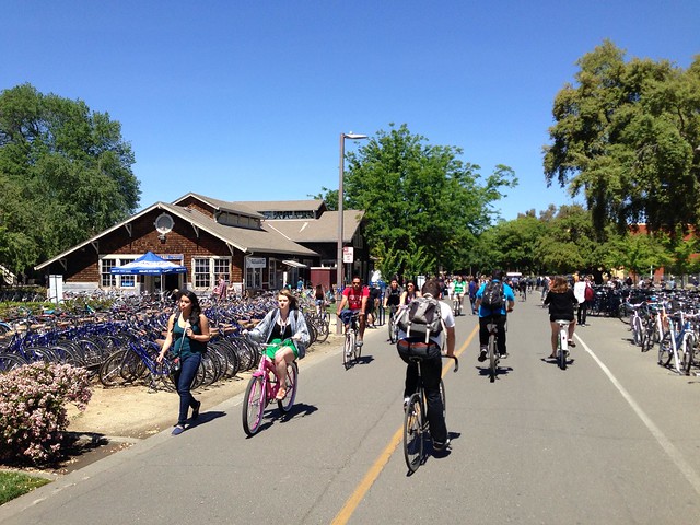 Lots of students riding bikes