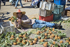 A Dude Selling Cuban Pineapples