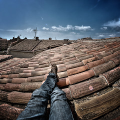 Lazing on the roof tops