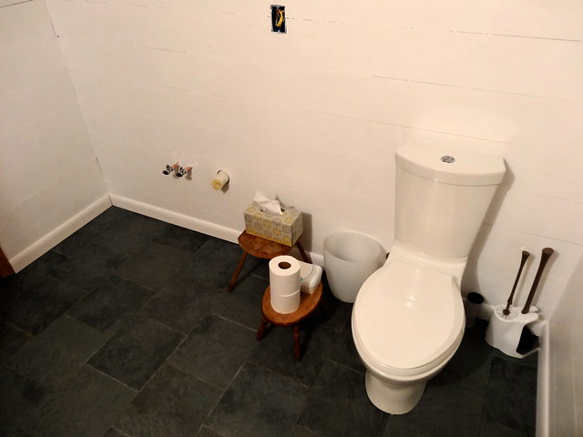 tile, walls and toilet, check