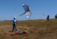 Kite Contest