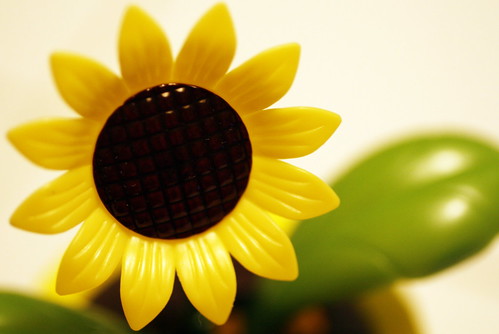 [71/365] Sunflower by goaliej54